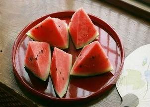 房间里吃瓜,揭秘房间里独特的吃瓜文化