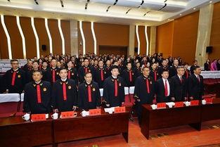 法官每天吃瓜,瓜田里的智慧与公正