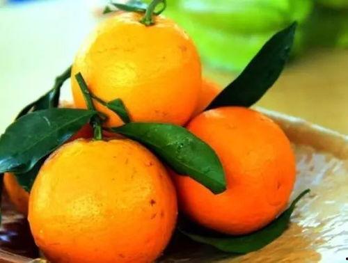 吃瓜直播橙子,揭秘网红美食背后的故事