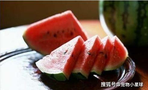 路过吃瓜现实,吃瓜群众见证人间百态