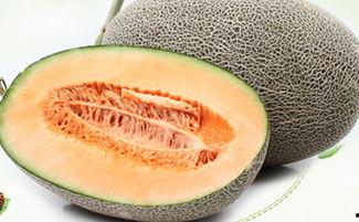 没事吃哈密瓜