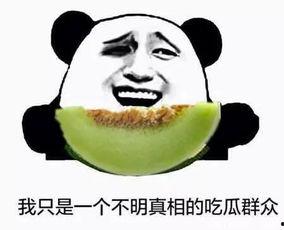 在豪门当吃瓜群众,我是那个默默吃瓜的旁观者