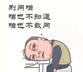 调侃吃瓜的话,揭秘网络调侃背后的趣味人生