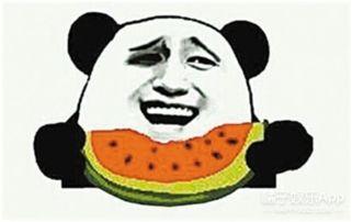 当有瓜吃时,共享丰收喜悦