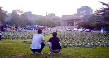 东湖学院吃瓜事件,校园风波背后的真相与反思