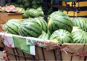 吃瓜怎么挑瓜最好