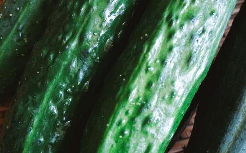 关于吃瓜系统,网络舆论场中的“瓜农”与“瓜田”